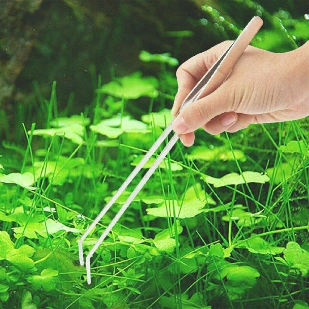 Plant tweezer | Bend | Stainless
