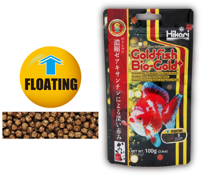 Hikari Goldfish Bio Gold plus | Goldfish feed | 100g | Floating