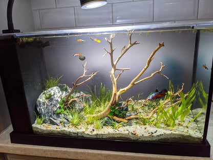 Vinyl Matte Blur | Frosted blur background