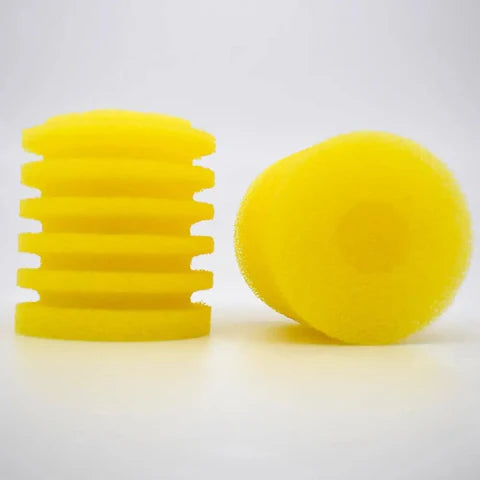 Filter Sponge | yellow | Single