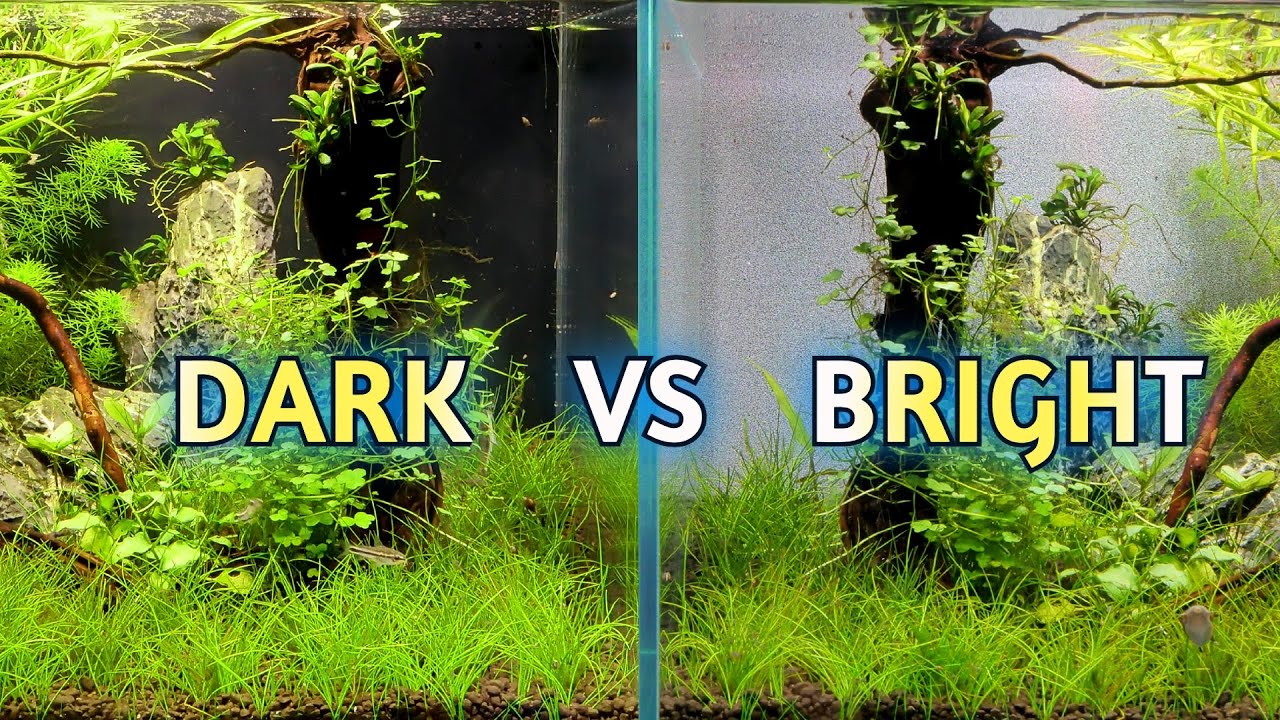 Vinyl Matte Blur | Frosted blur background