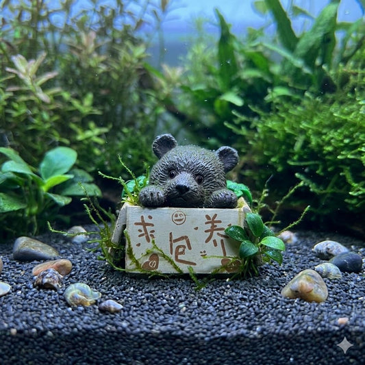Teddy inside box | Decor