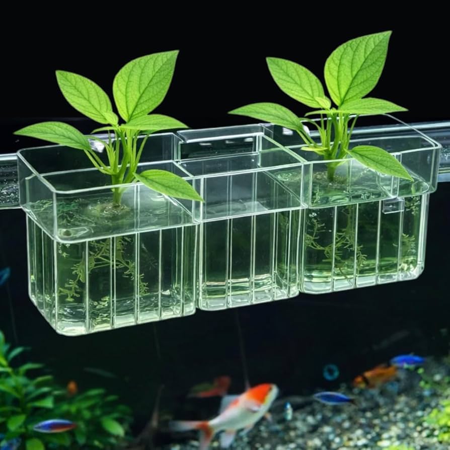 Green Plant hanging basket | Plant cultivation cup