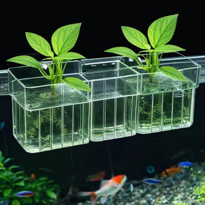 Green Plant hanging basket | Plant cultivation cup