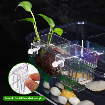 Plantation cultivation Cup | Plant holder | 1 Pc