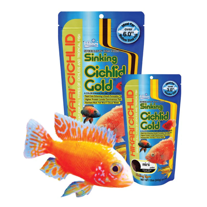 Hikari Sinking Cichlid Gold | Cichlid food