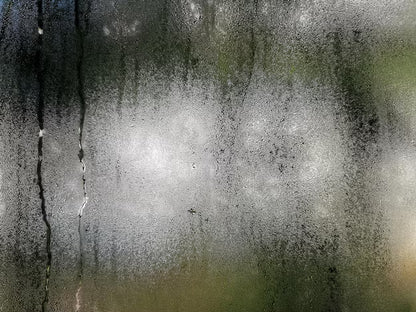 Vinyl Matte Blur | Frosted blur background