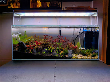 Vinyl Matte Blur | Frosted blur background