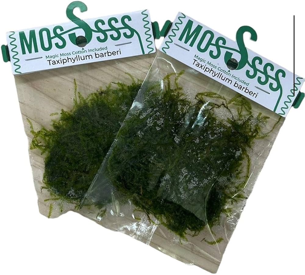 Spiky Moss